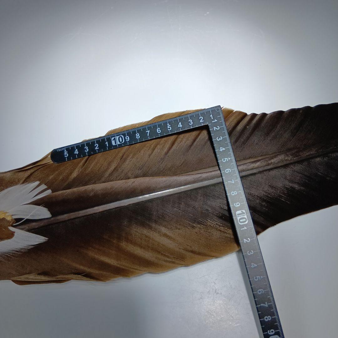 値下げ茶道具　羽箒　全長65センチ