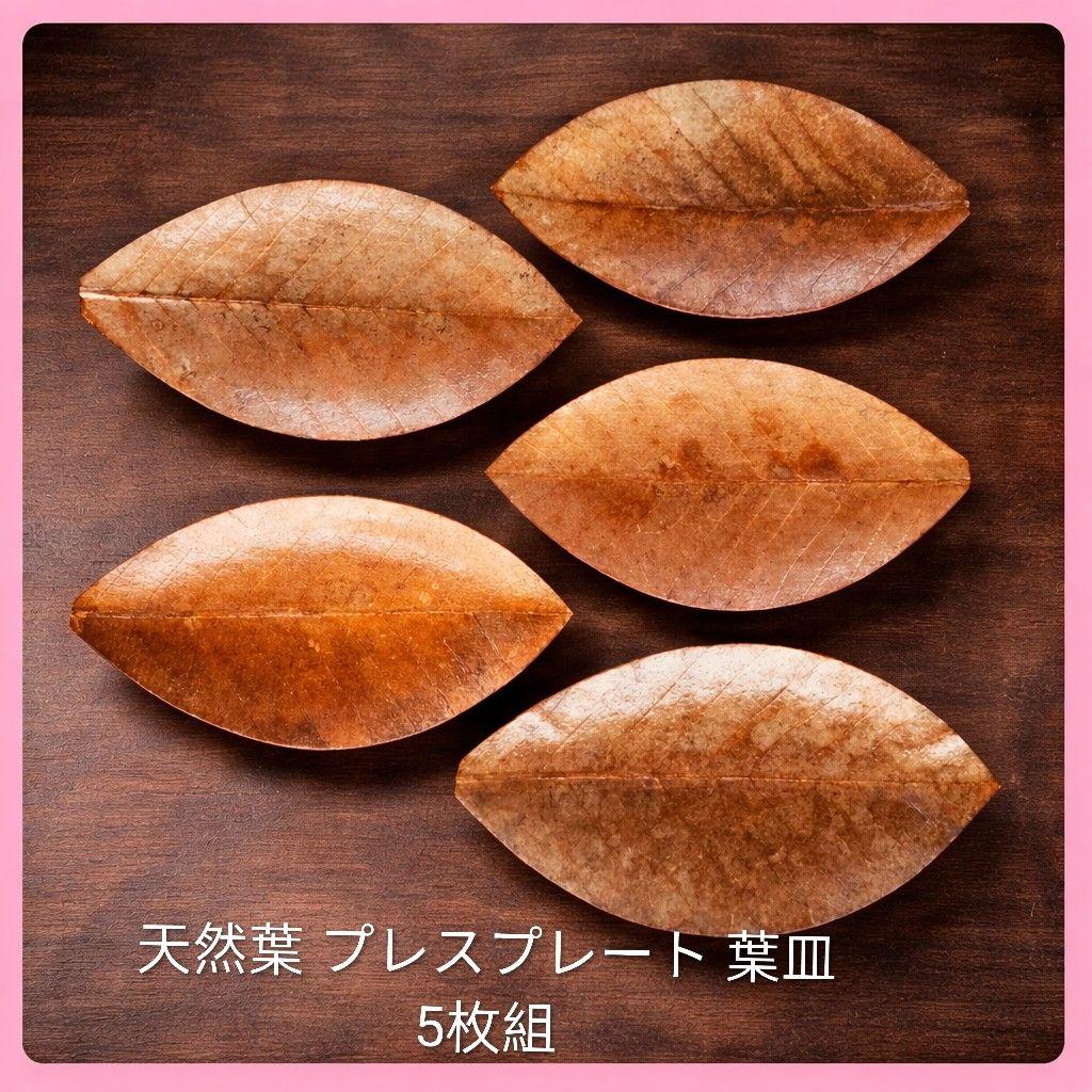 ●天然葉 プレスプレート 葉皿 5枚組アートオブジェ民藝ハンドメイドインテリア