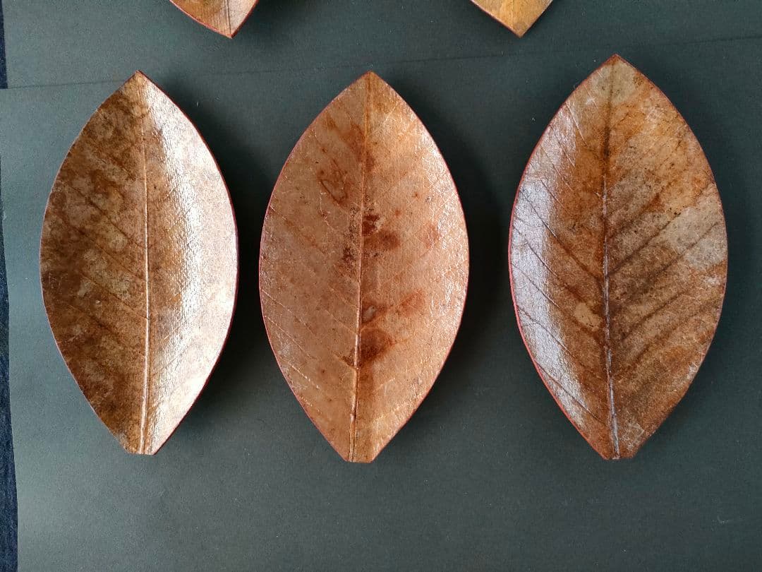 ●天然葉 プレスプレート 葉皿 5枚組アートオブジェ民藝ハンドメイドインテリア