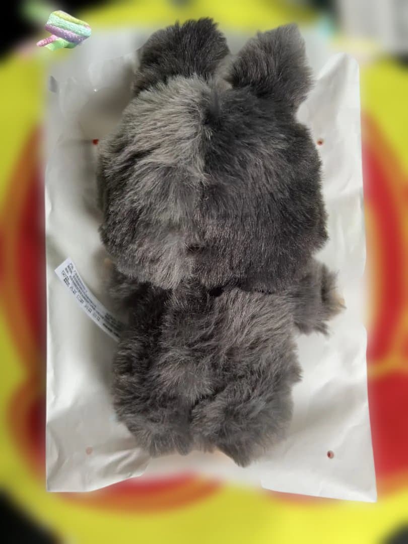 ⭐ラブブ⭐シークレット⭐ID⭐即日発送可能⭐