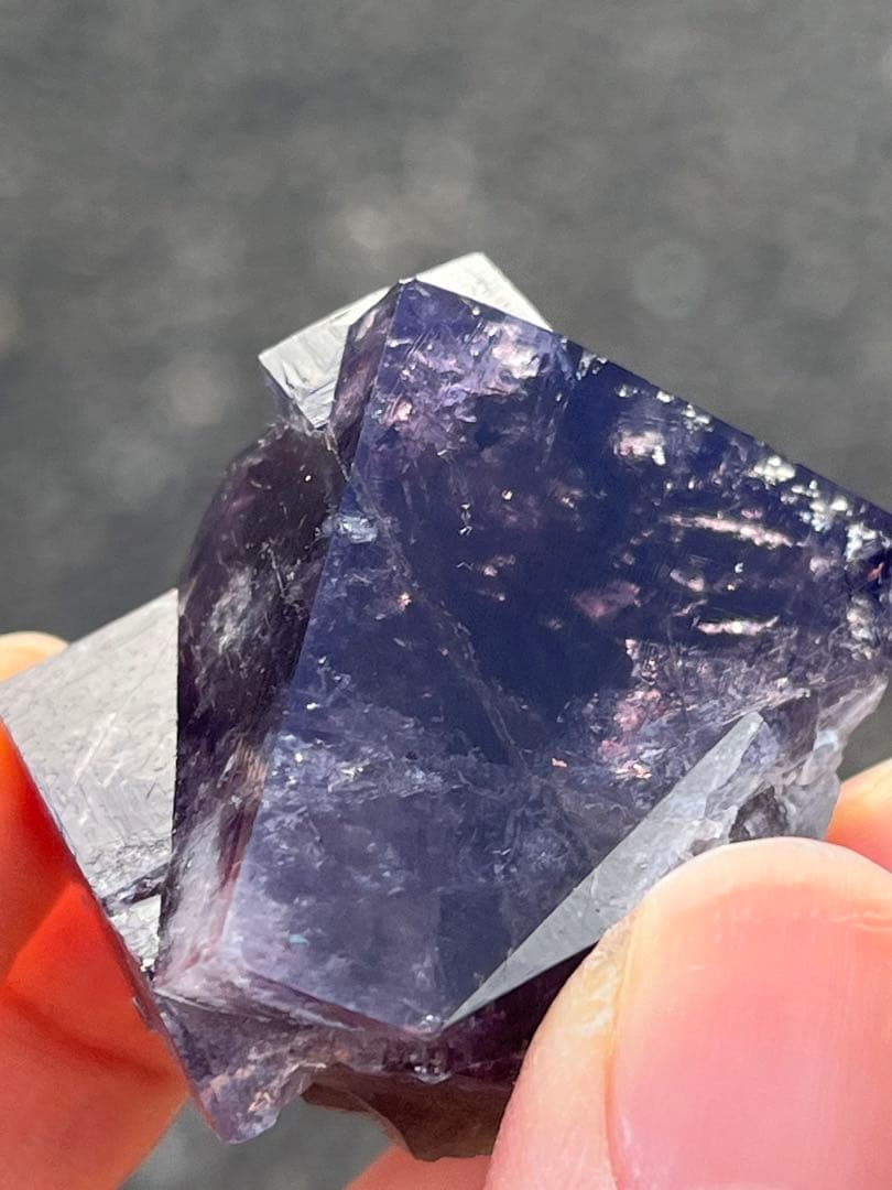 【標本no.01】フローライト Purple Rain Pocket UK