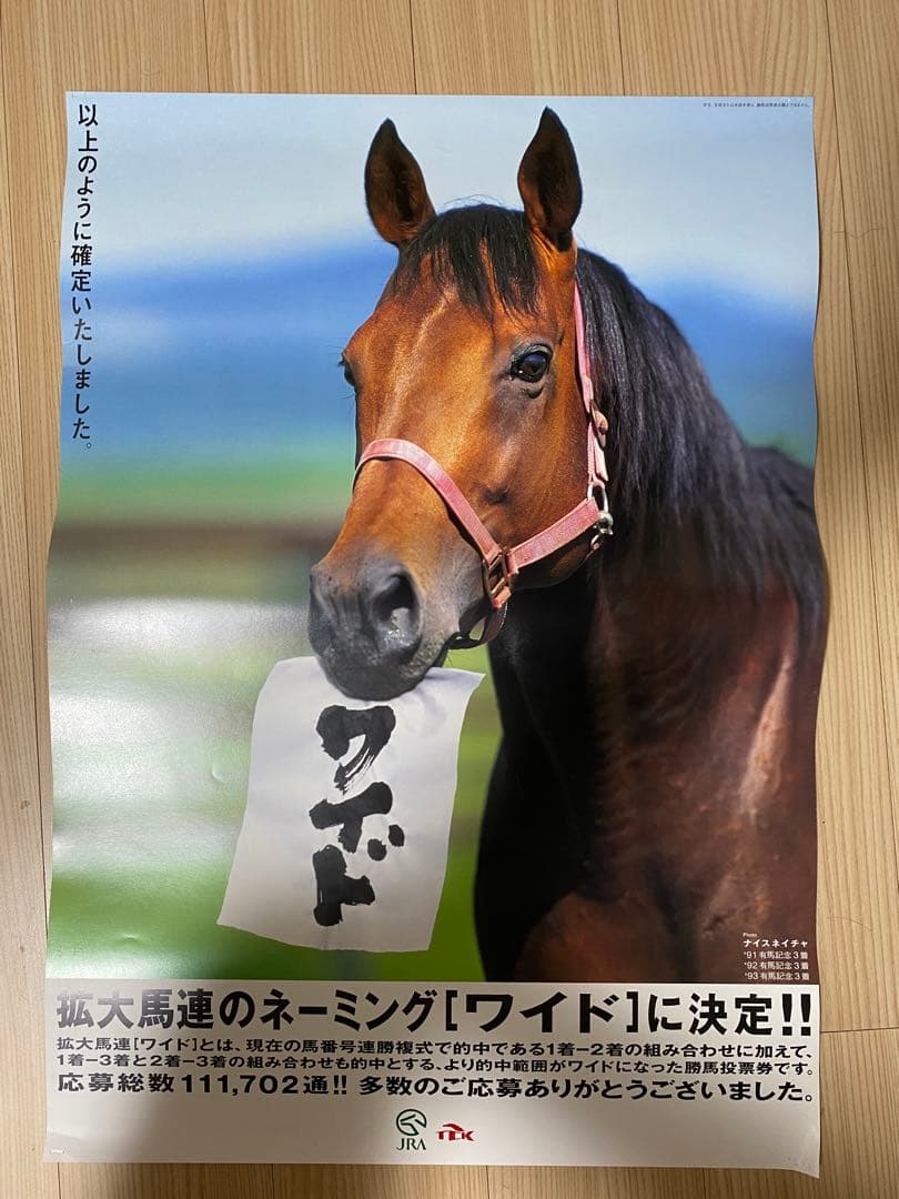 ナイスネイチャ 非売品ポスター