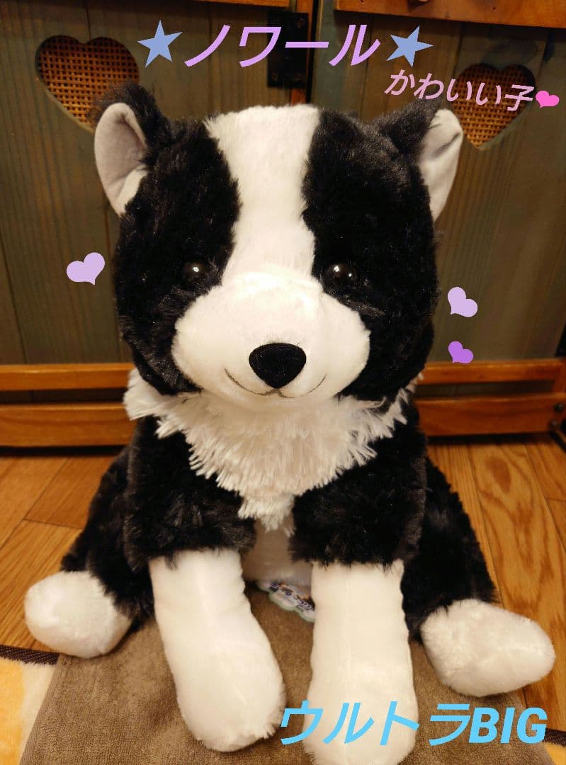 くったりボーダーコリー【新作】おりこうさん  ノワール ウルトラBIG