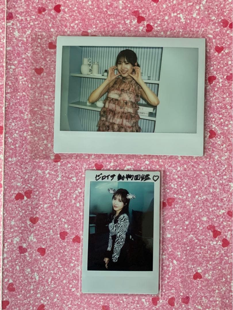 桃月なしこ クリスマス サンタコス サイン入り チェキ 15枚 まとめ売り