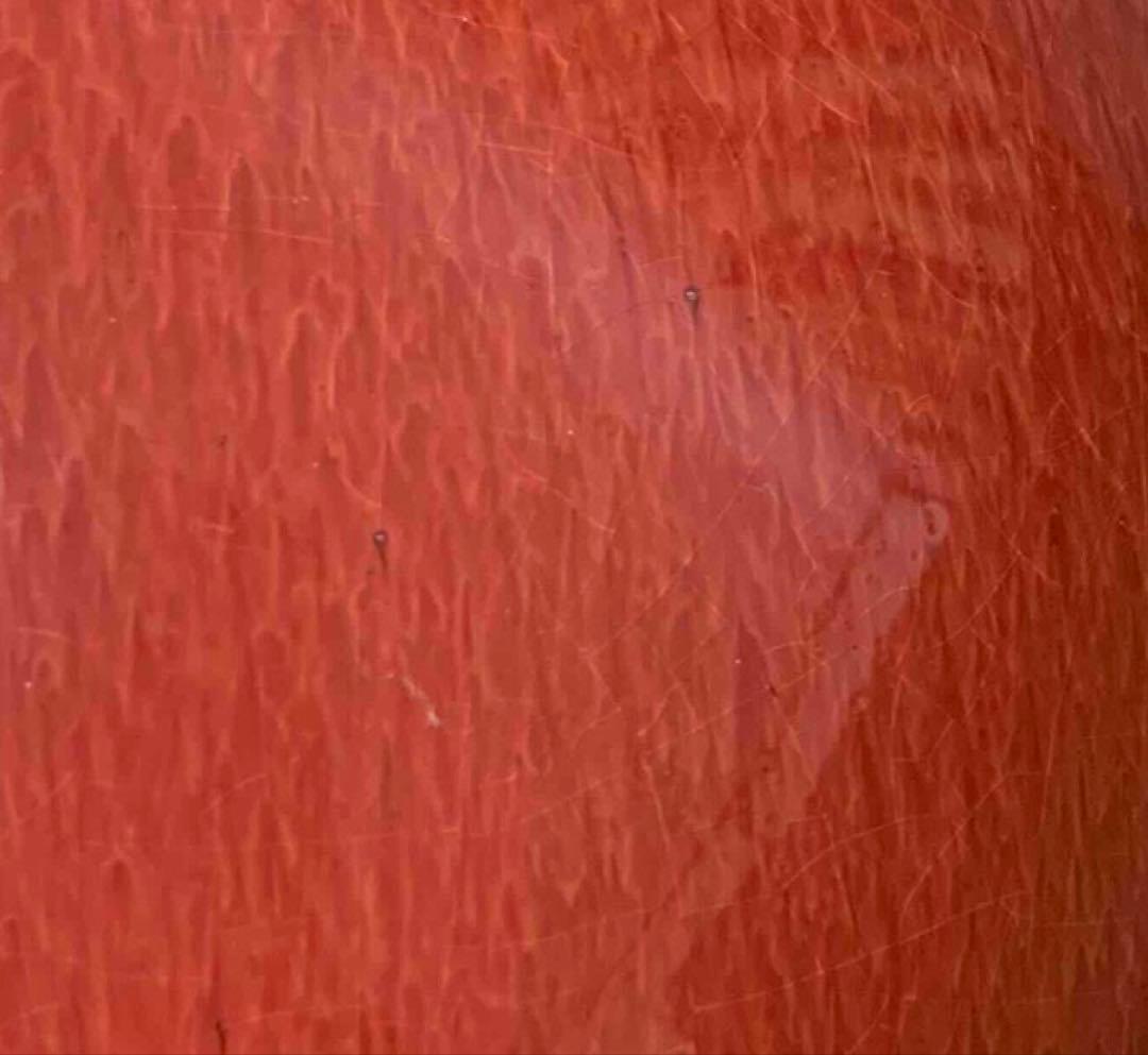 中国 紅釉羊耳付壺　f2250914