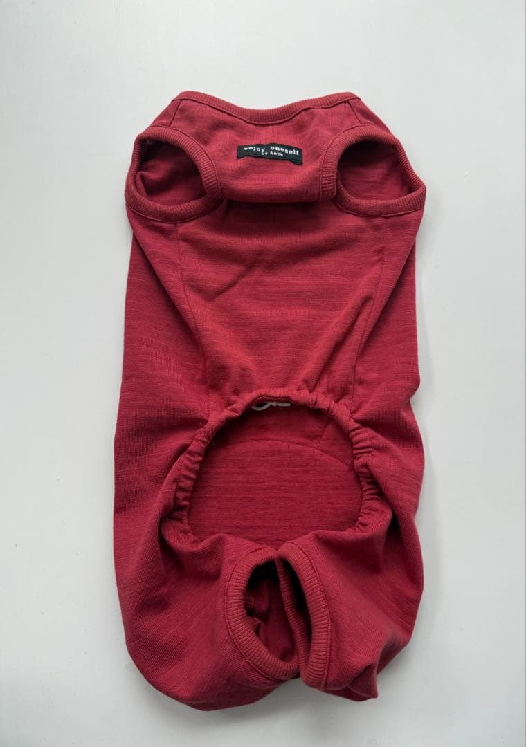 サラダページです　ダックスフンド　犬服　わんこ服