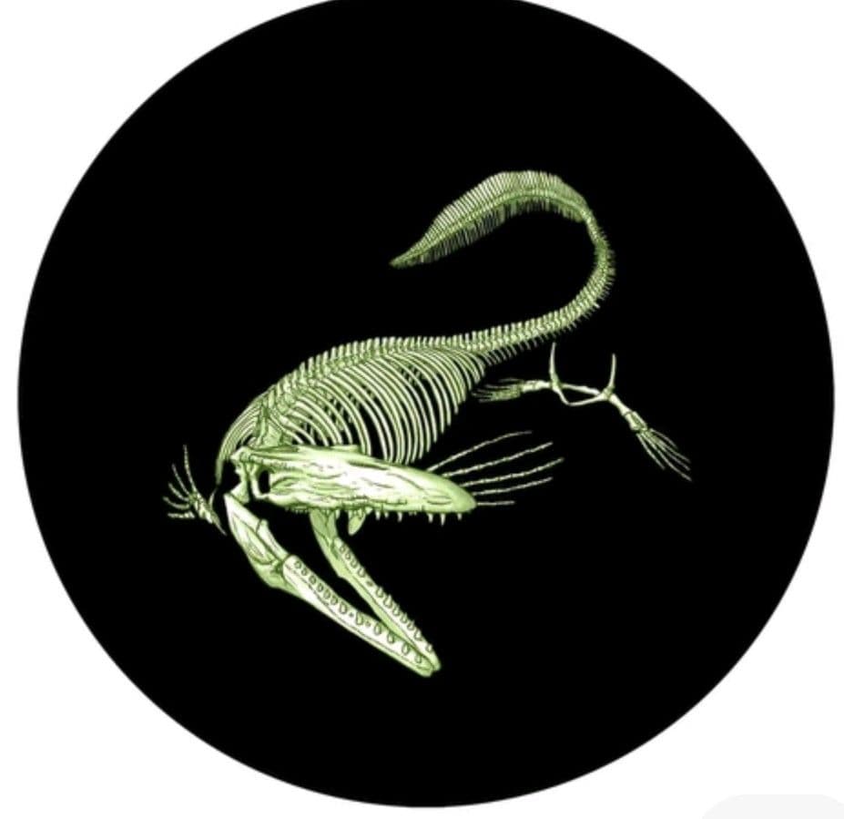 カナダ 25セント 2013年 モササウルス科ティロサウルス【最後の1枚】