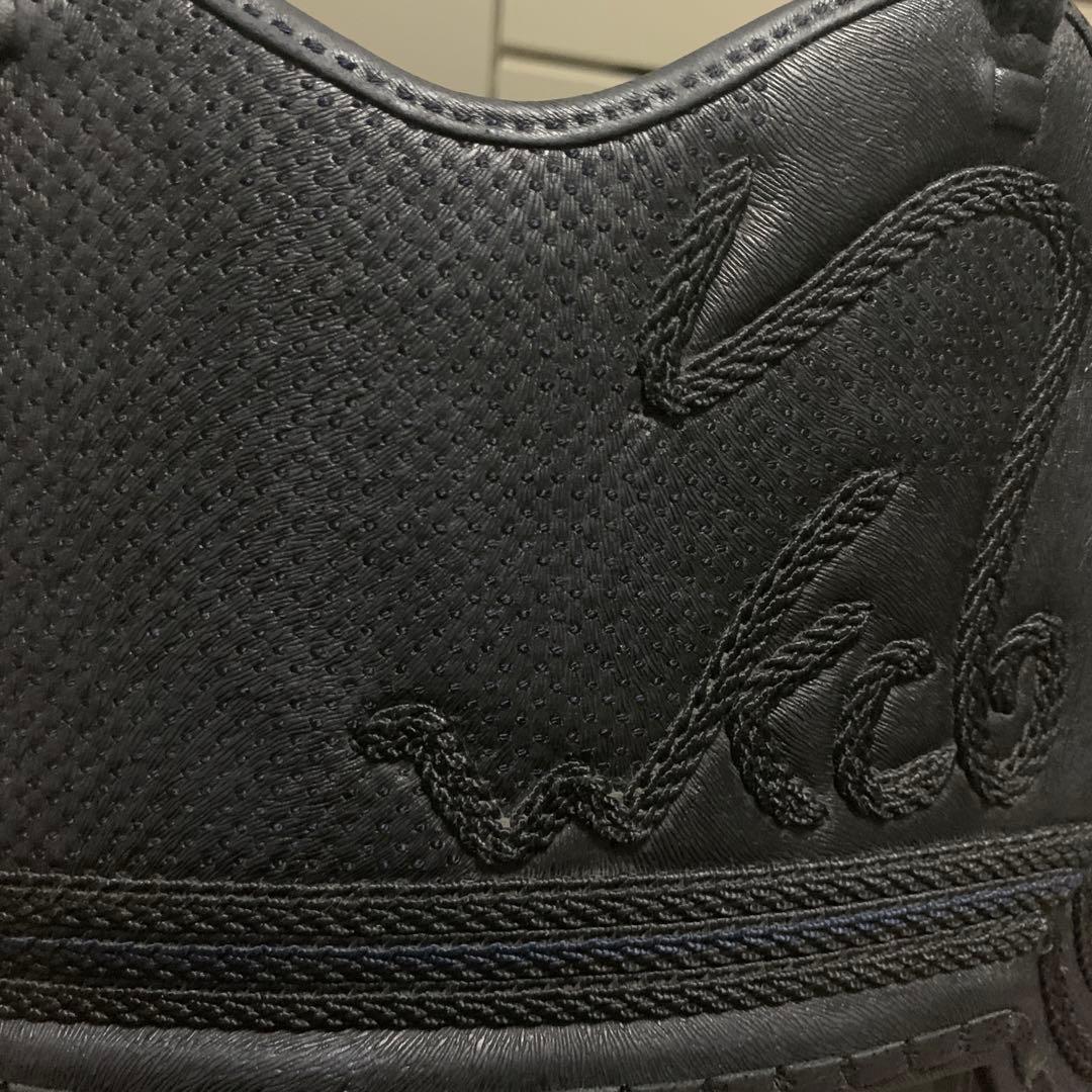 剣道　日本製　樹脂胴　富士山　国内200個限定　激レア　特注