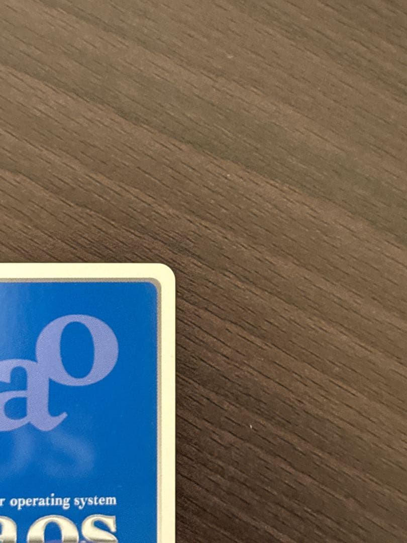 日*1様 今日からパートナー“ギフティア”「アイラ」　SPサイン　ChaosTC