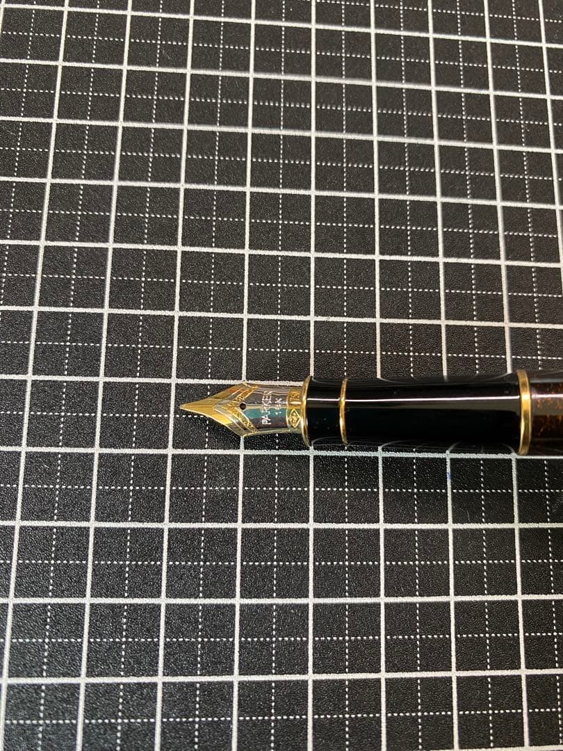 PARKER SONNET ビゾンフォンセ　純正漆　万年筆　字幅F