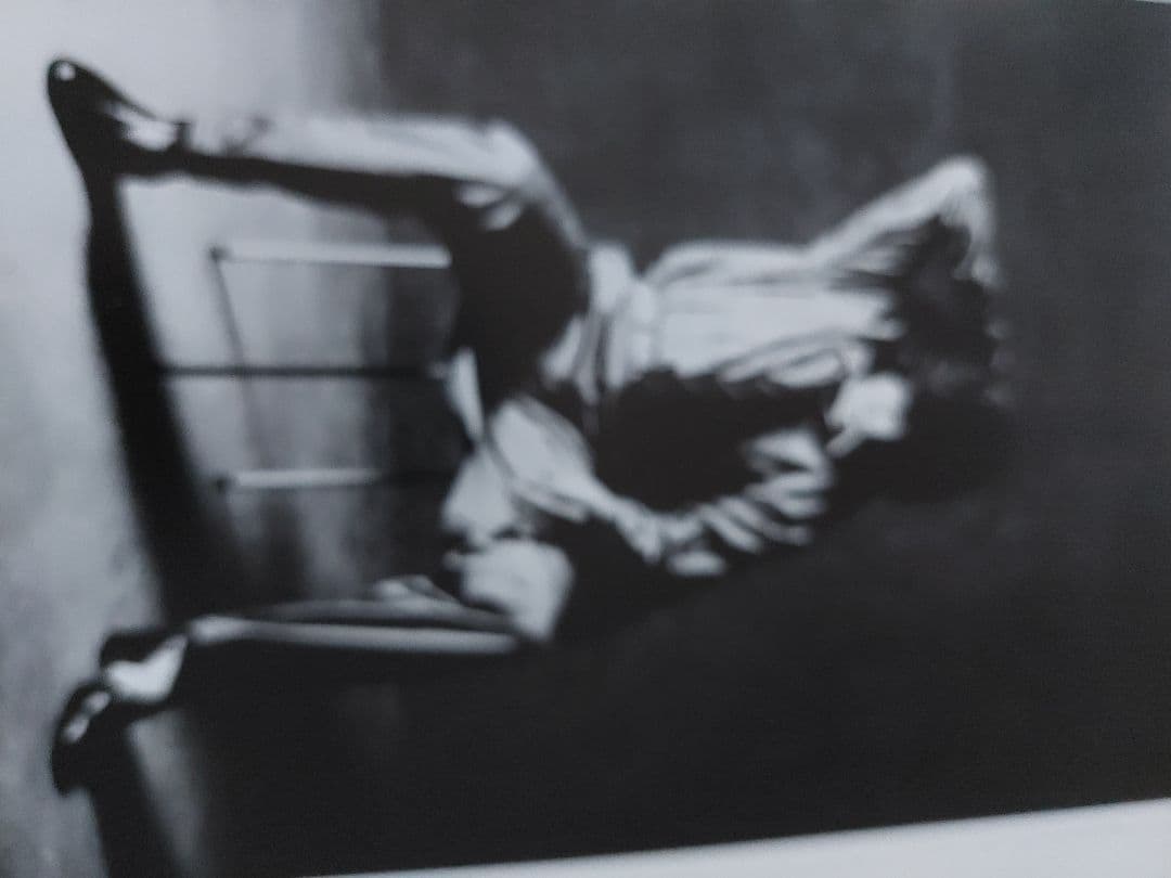 西城秀樹さんパンフレット写真セット