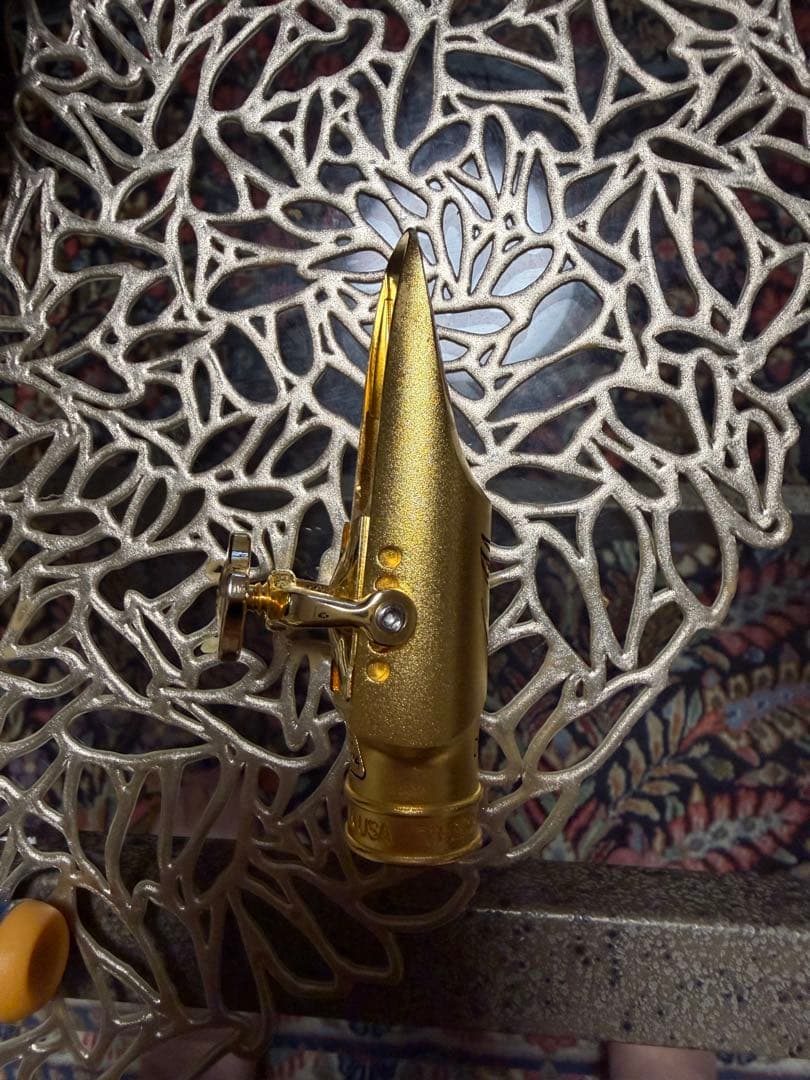 Theo Wanne Durga Alto Gold マウスピース