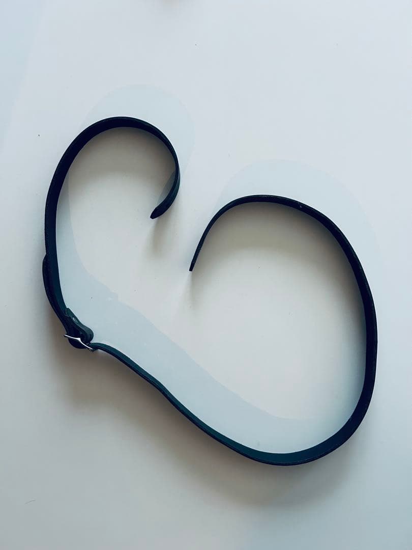 DANIEN LANOIS ダニエルラノワ　ギターストラップ