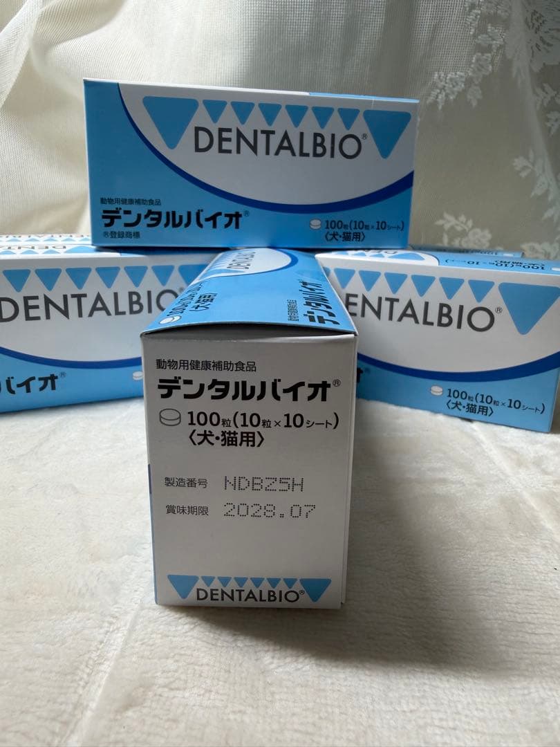 共立製薬 デンタルバイオ 10粒×10シート 6箱