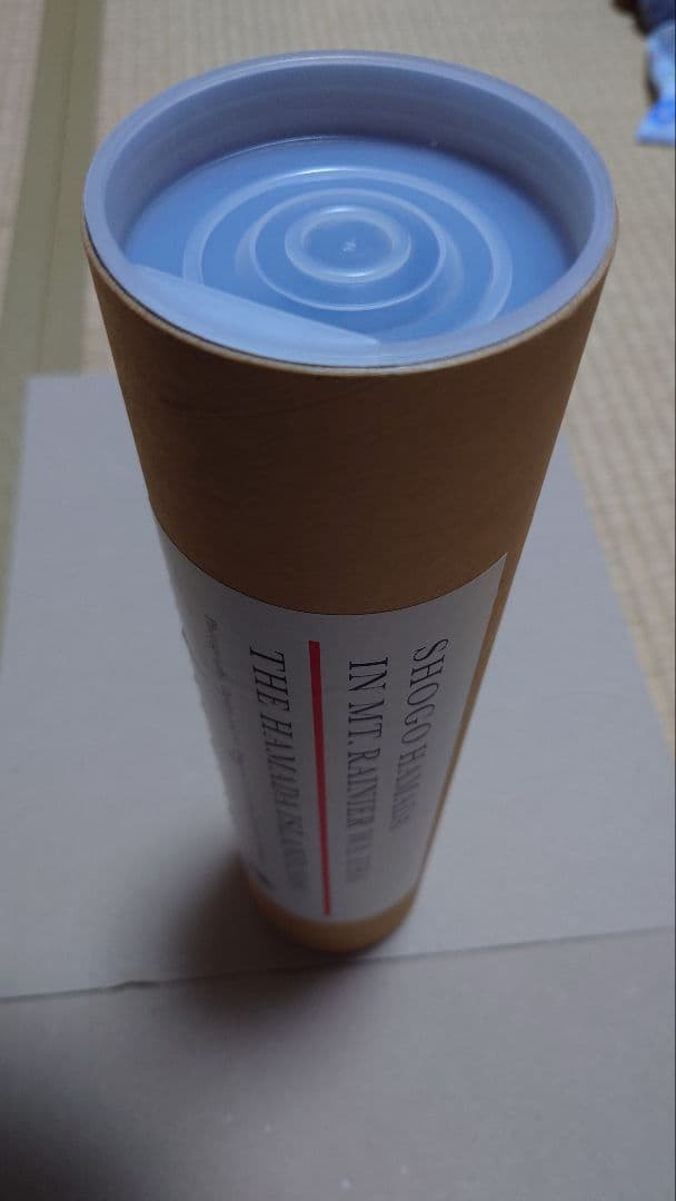 浜田省吾 ポスター 浜田島 2010 パノラマアートポスター 山岳風景