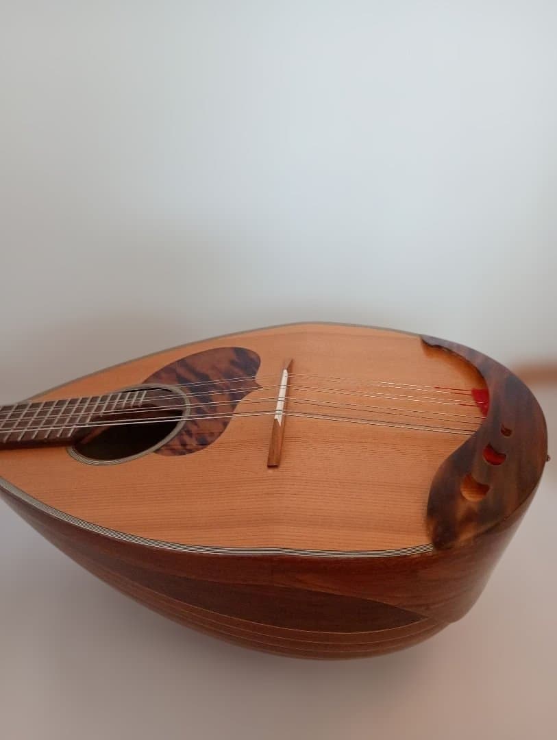 Calaceカラーチェ Mandolinマンドリン【No.24】