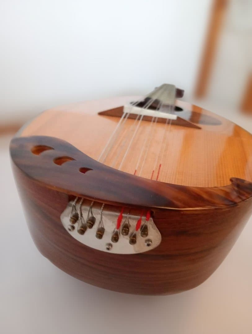 Calaceカラーチェ Mandolinマンドリン【No.24】