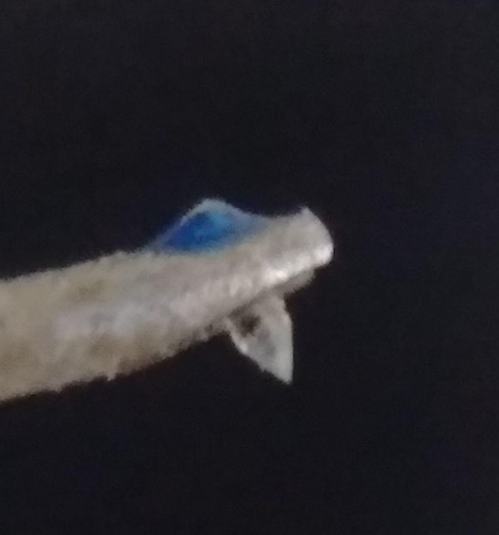 デノン MCカートリッジDL-103S ヘッドシェル PCL-3 特に美しい音