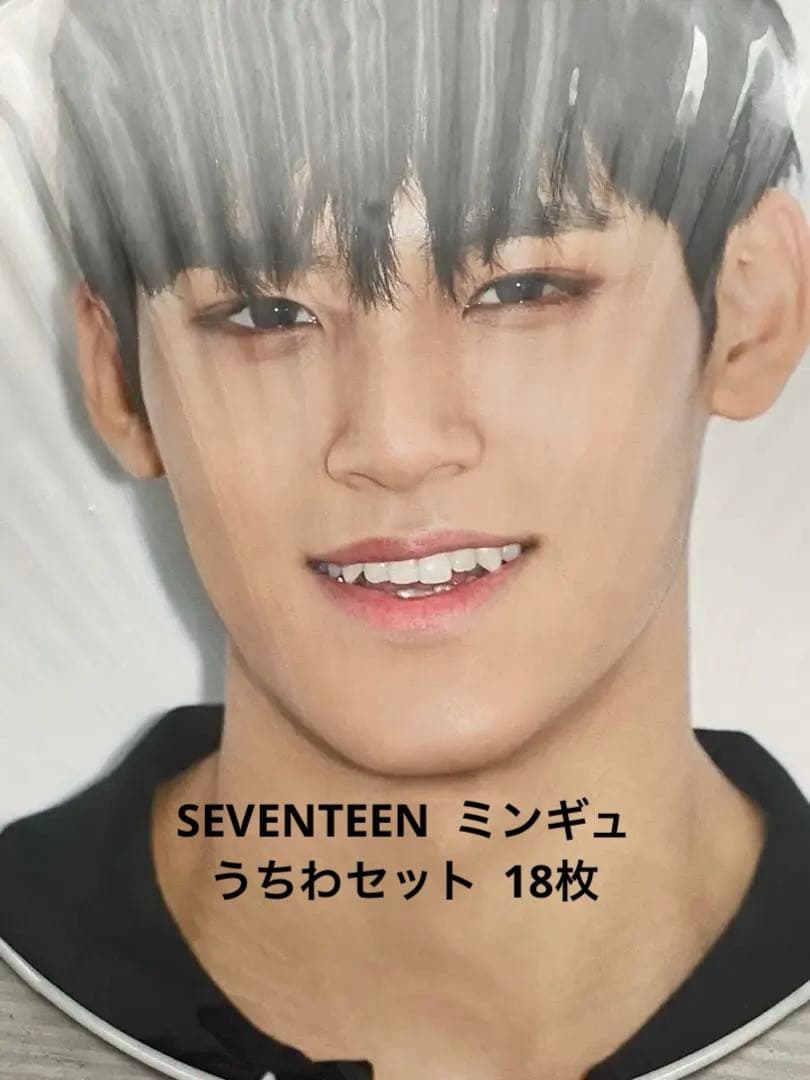 SEVENTEEN セブンティーン セブチ ミンギュ うちわ 団扇 セット