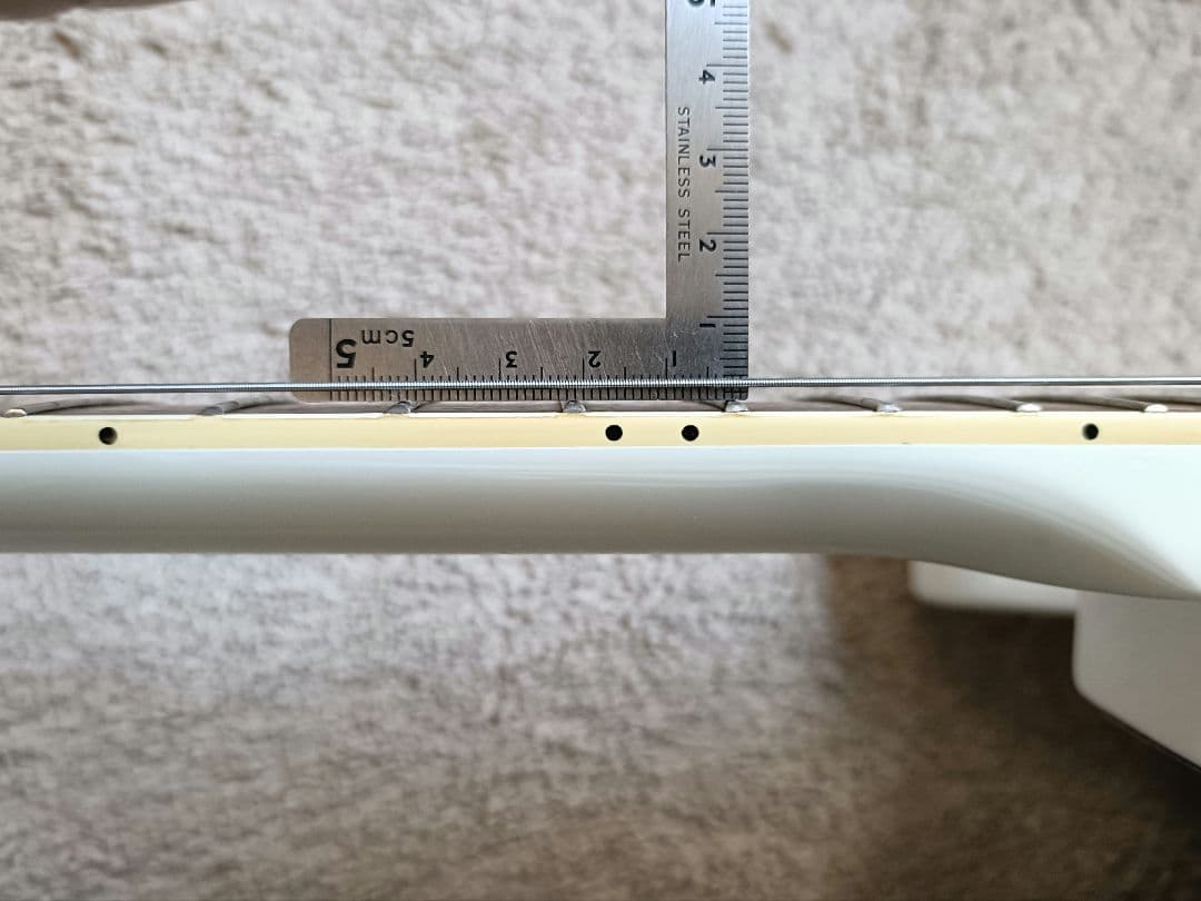 フェルナンデス TEJ limited edition サスティナー搭載