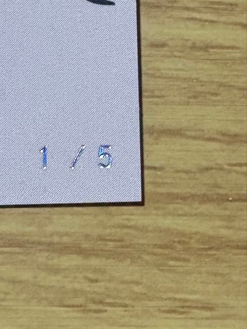 世界に5枚限定　EPOCH LION KING シリアル1/5