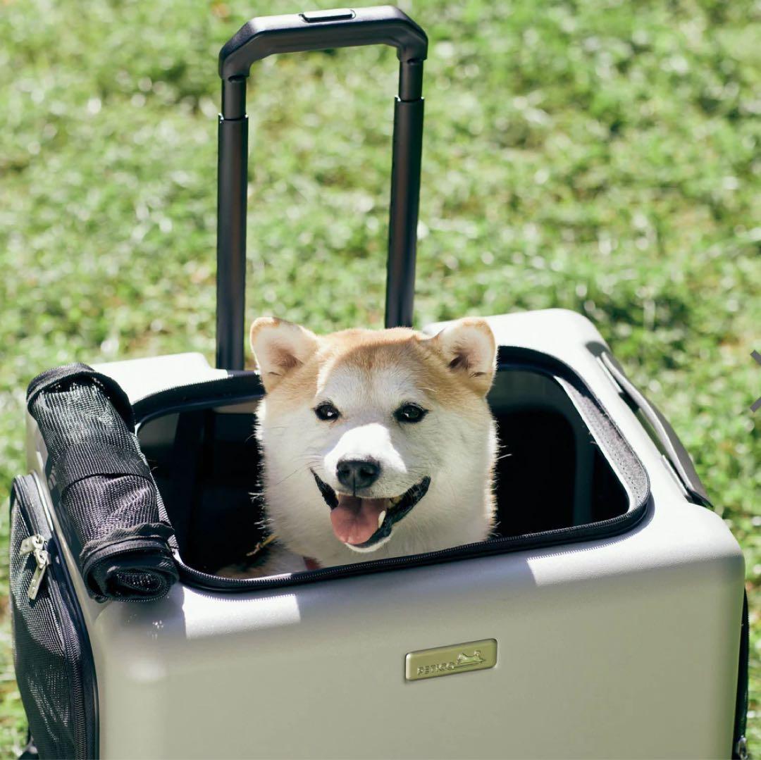 3001-L iCO / PETiCO ペチコ L-サイズ ペットキャリー