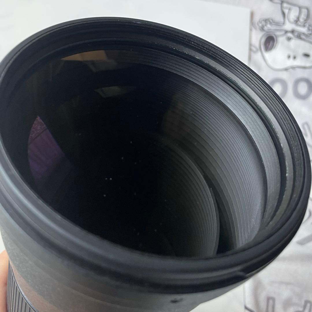 超望遠レンズ TAMRON SP150-600mm