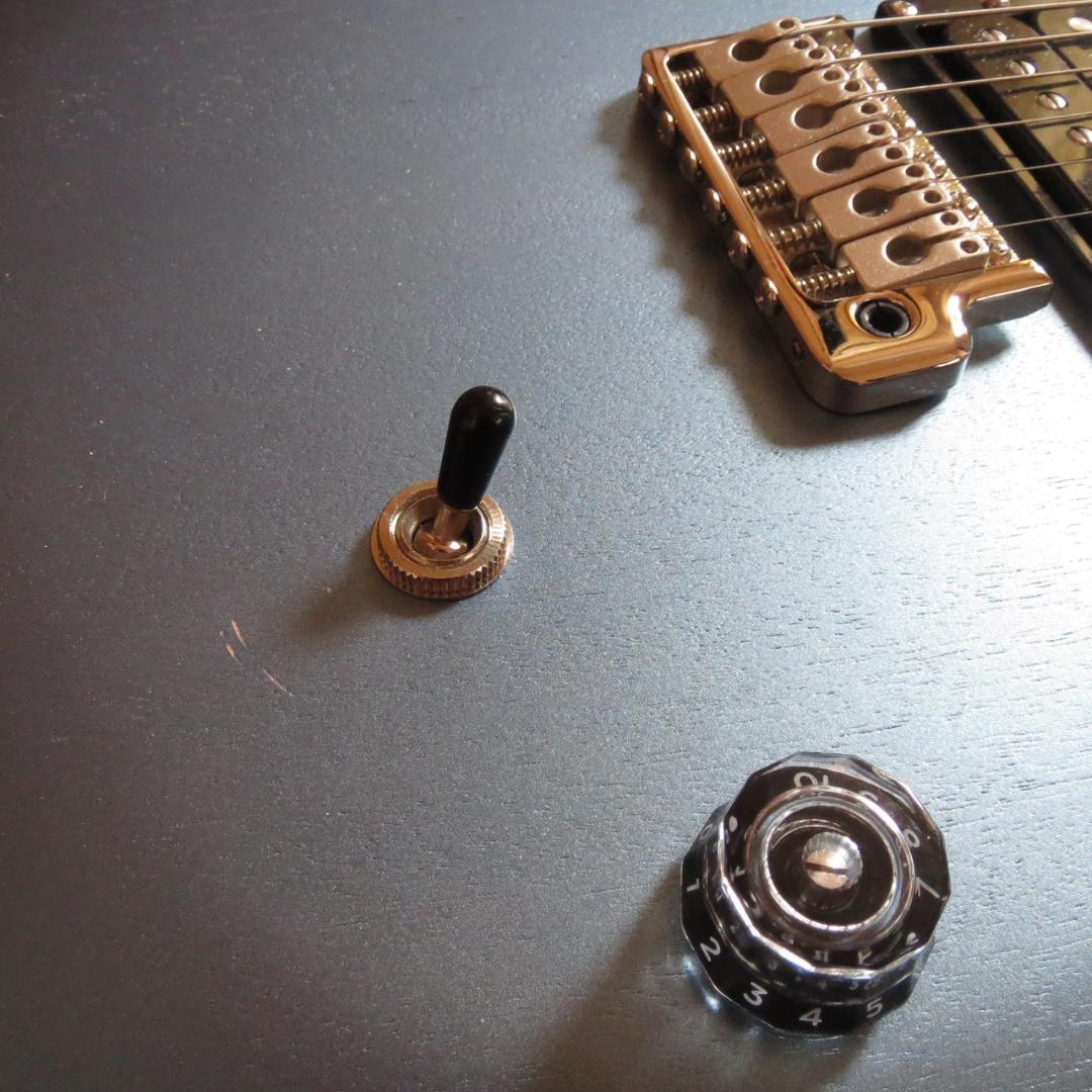 タ*ん様 PRS SE CE24 Standard Satin