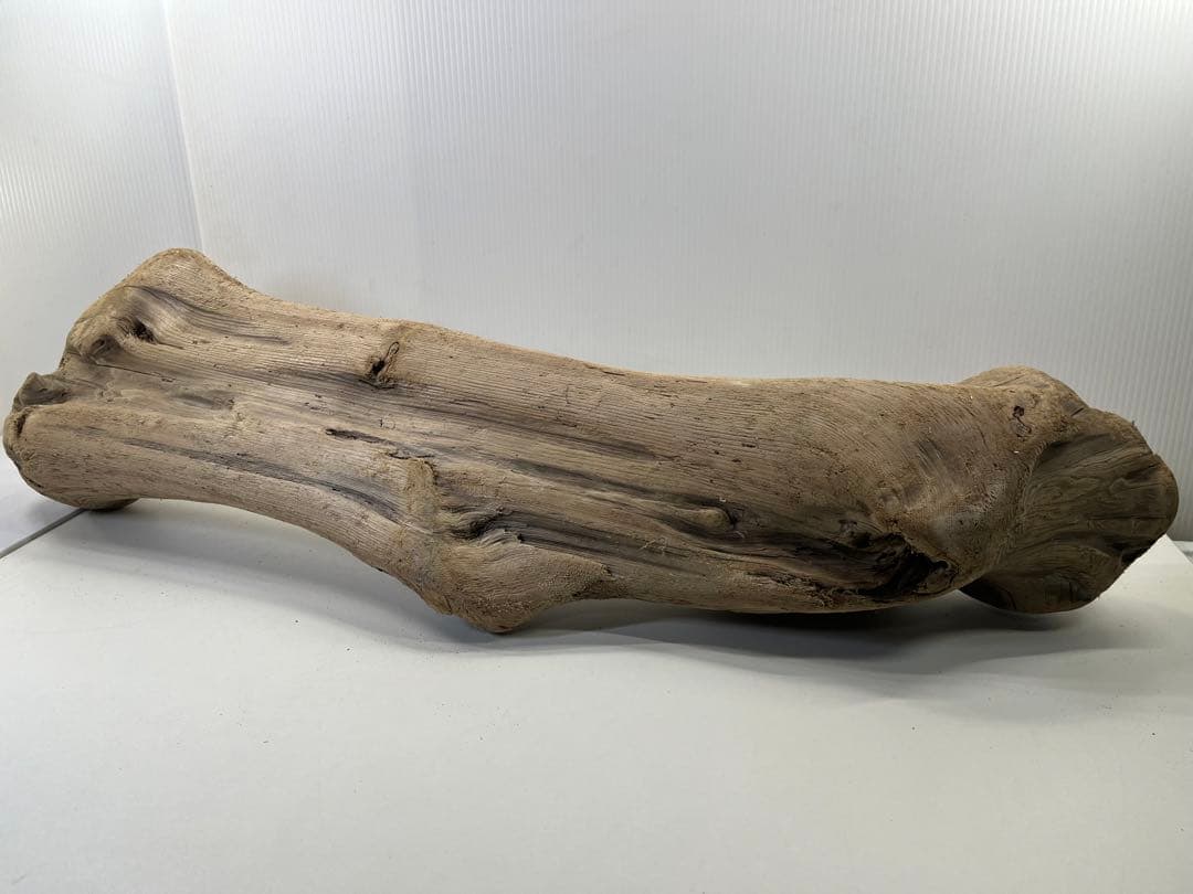 n42特大流木 大型流木 アク抜き済み 爬虫類シェルター レイアウト用 登り木