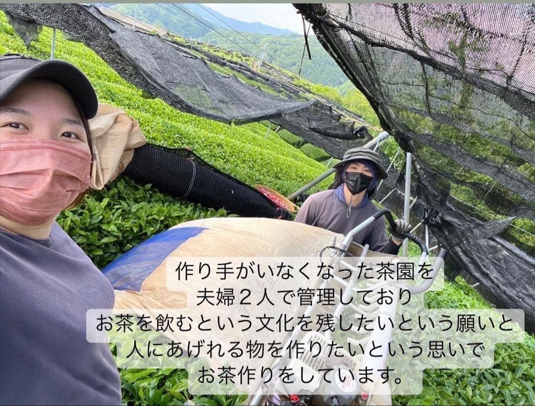 【無農薬抹茶】便利な個包装スティック100本入り！溶かすだけ簡単パウダータイプ