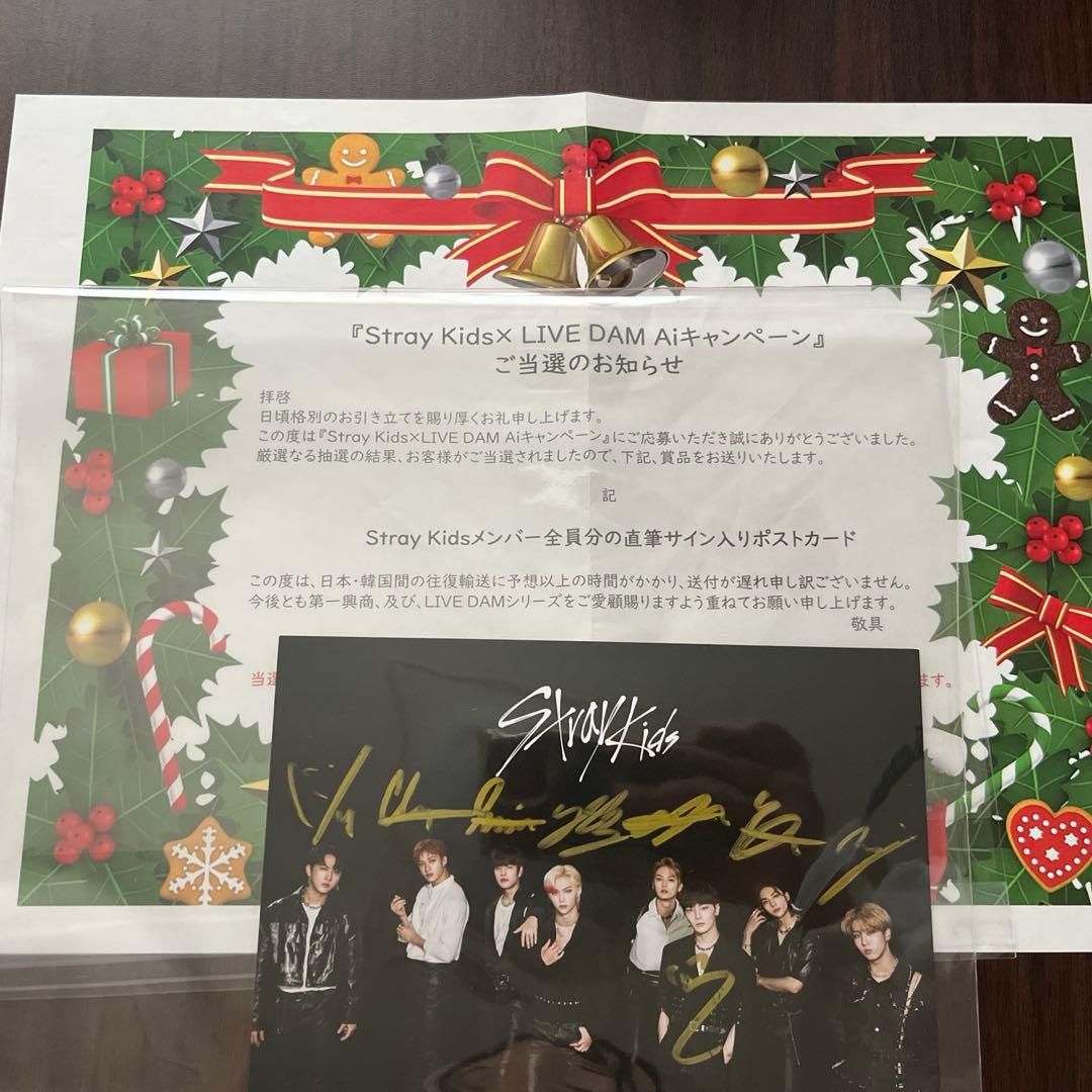 Stray Kids　メンバー全員直筆サイン入りポストカード　ソリクン　DAM