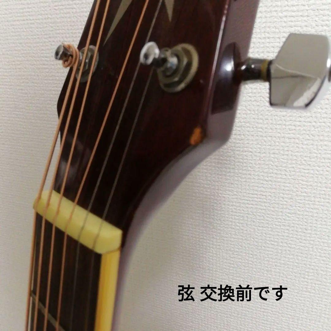 Takamine タカミネ T-F1/BS アコースティックギター