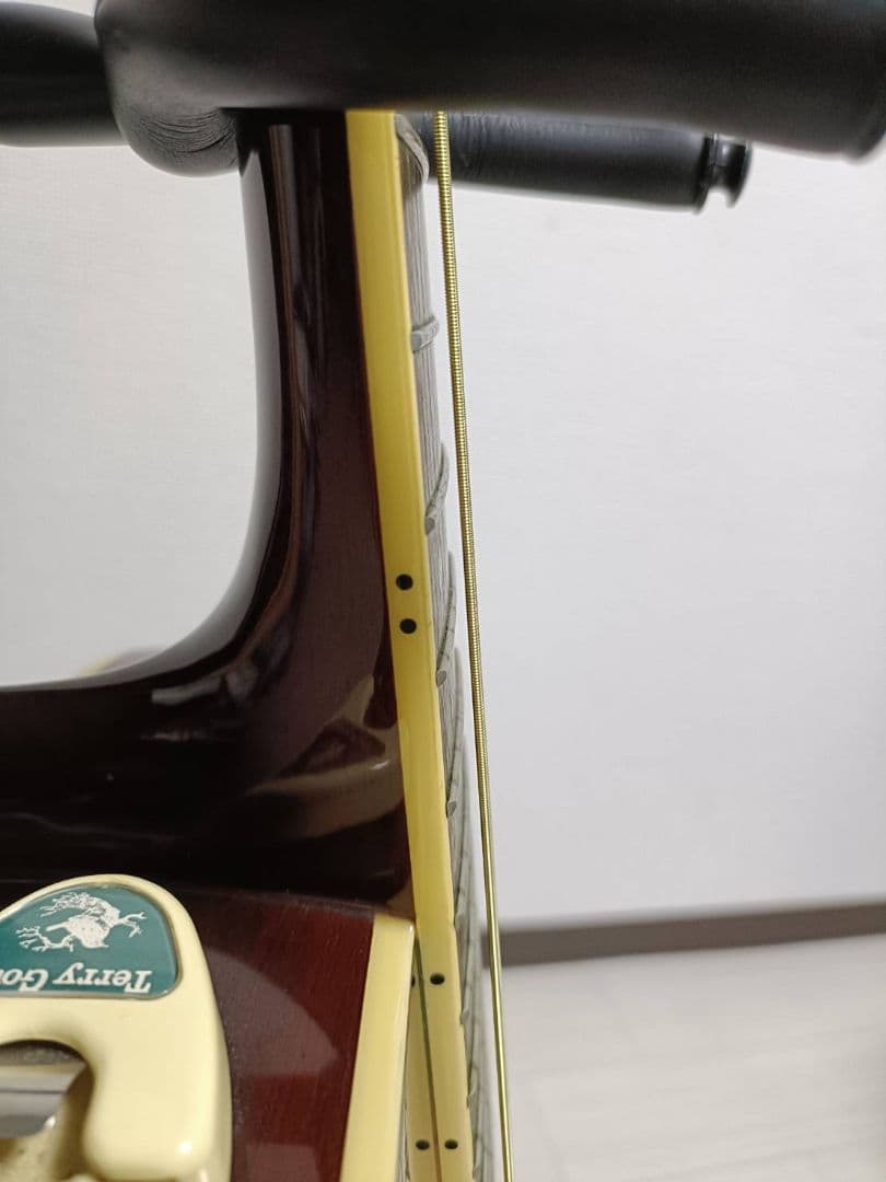 Takamine タカミネ T-F1/BS アコースティックギター