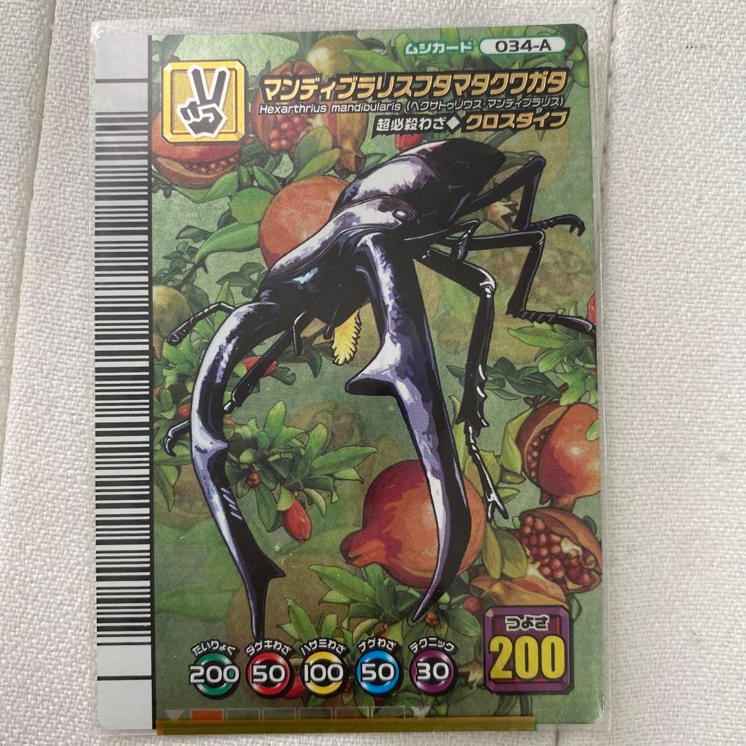 マンディブラリスフタマタクワガタ 5周年 クロスダイブ