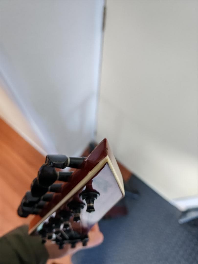 ギター ESP GC-60V King V Penicillin Chisato