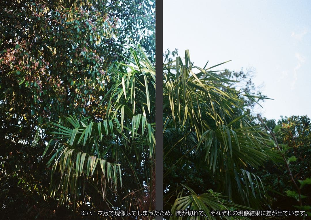 【動作保証・撮影確認済み】OLYMPUS TRIP35