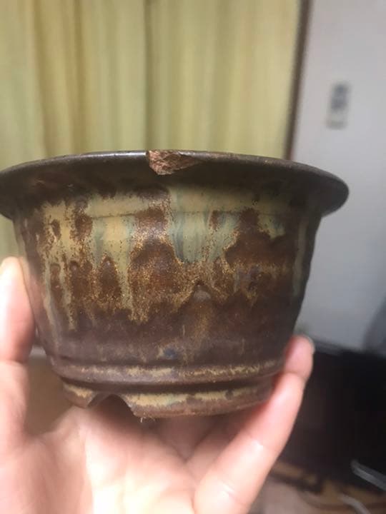 盆栽鉢　時代小品ミニ盆栽鉢峯生3点山野草サボテン可愛い植木鉢