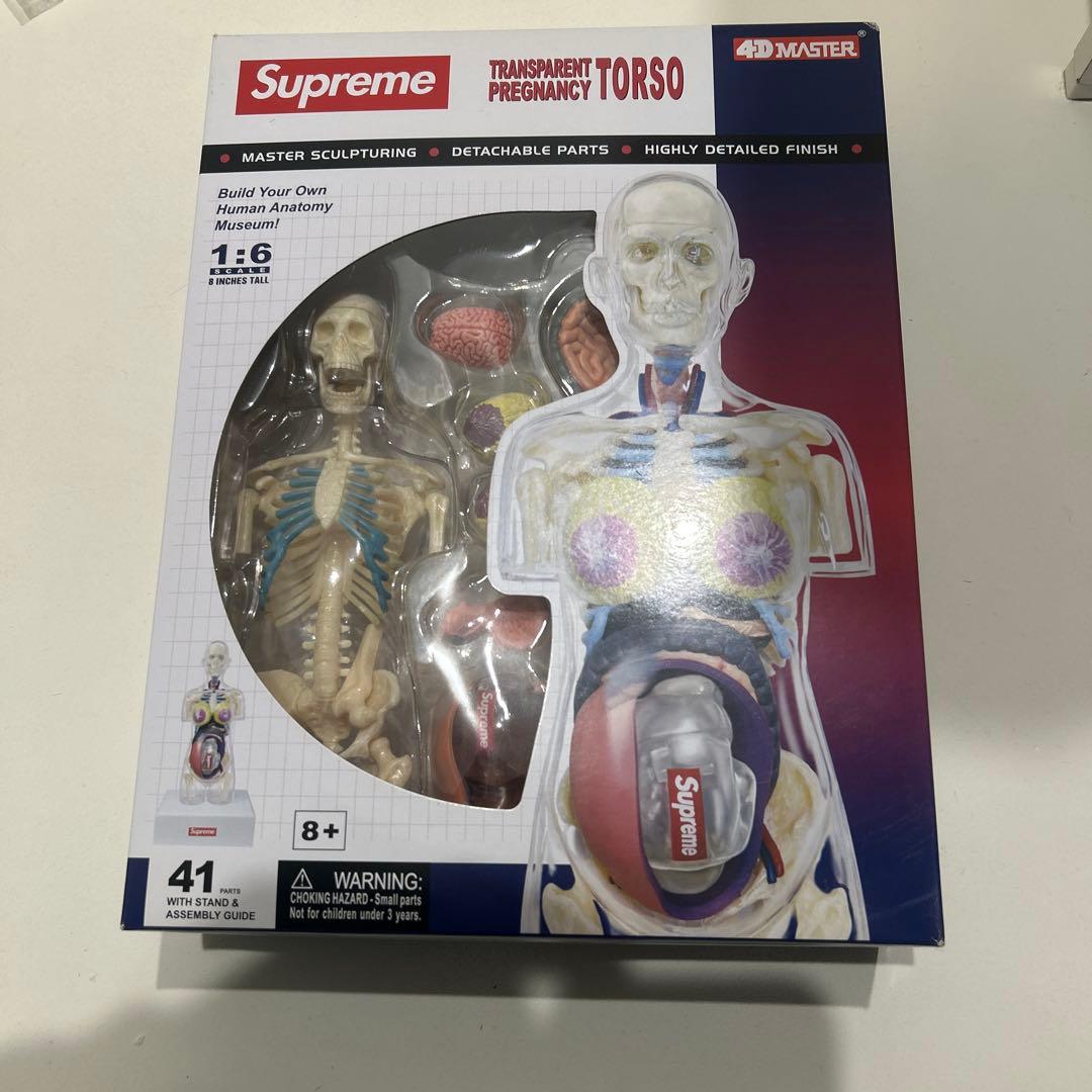 【新品未開封】Supreme 4D Human 人体模型 女性