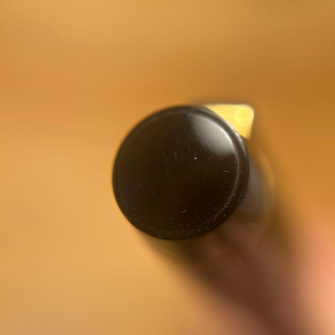 パイロット　ジャスタス95 中字　14k Justus95 ネットブラック