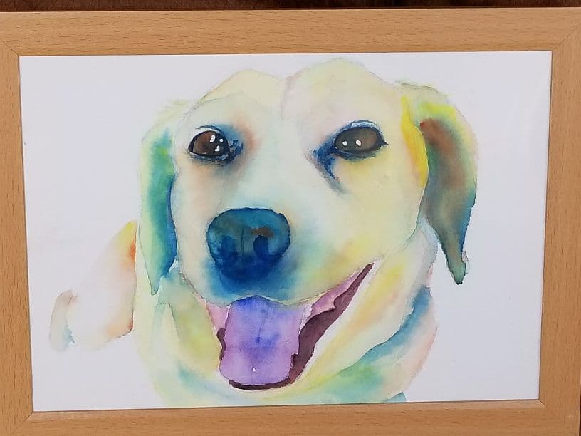 画家志望の青年が描いた　犬の水彩画