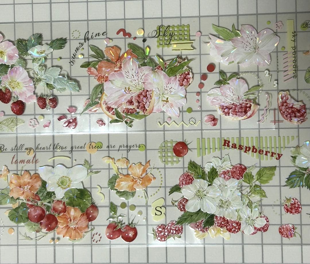 イチジク 海外マステ 切り売り