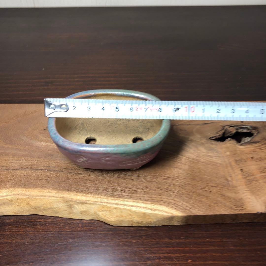 【名品】　岡谷是心　小品盆栽鉢　山野草鉢