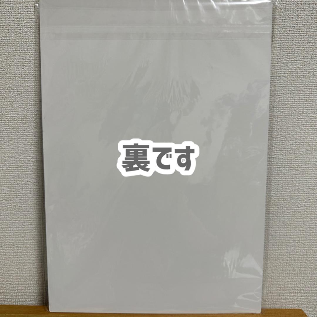 MINA ミナ MISAMO ミサモ お渡し会 特典