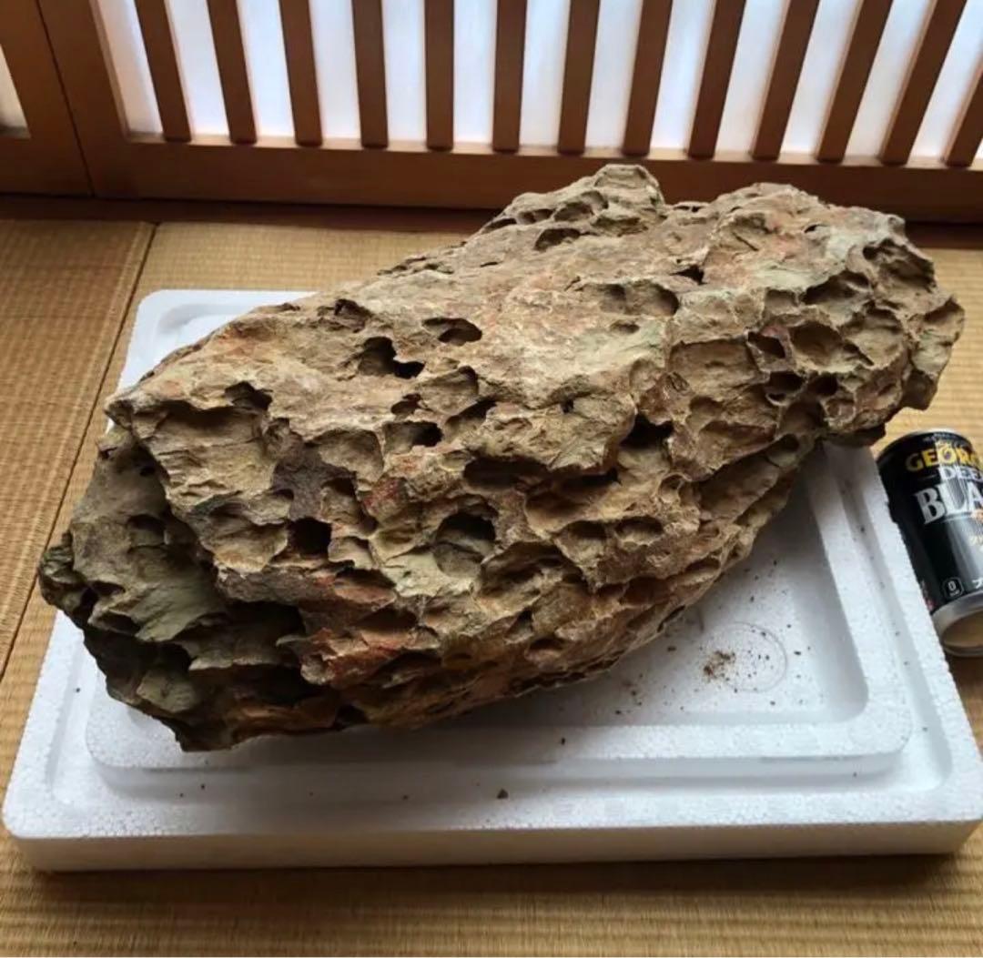 ADA 巨大黄虎石【希少】11kg巨岩親石 美形 気孔石