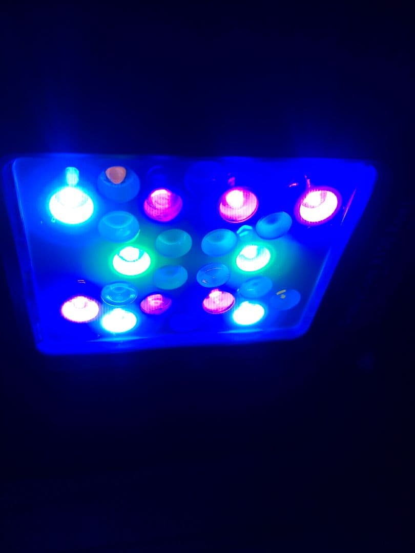 ボルクスジャパン　グラッシーコア X120