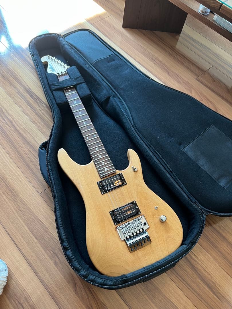 Washburn N2 1991年日本製Mod