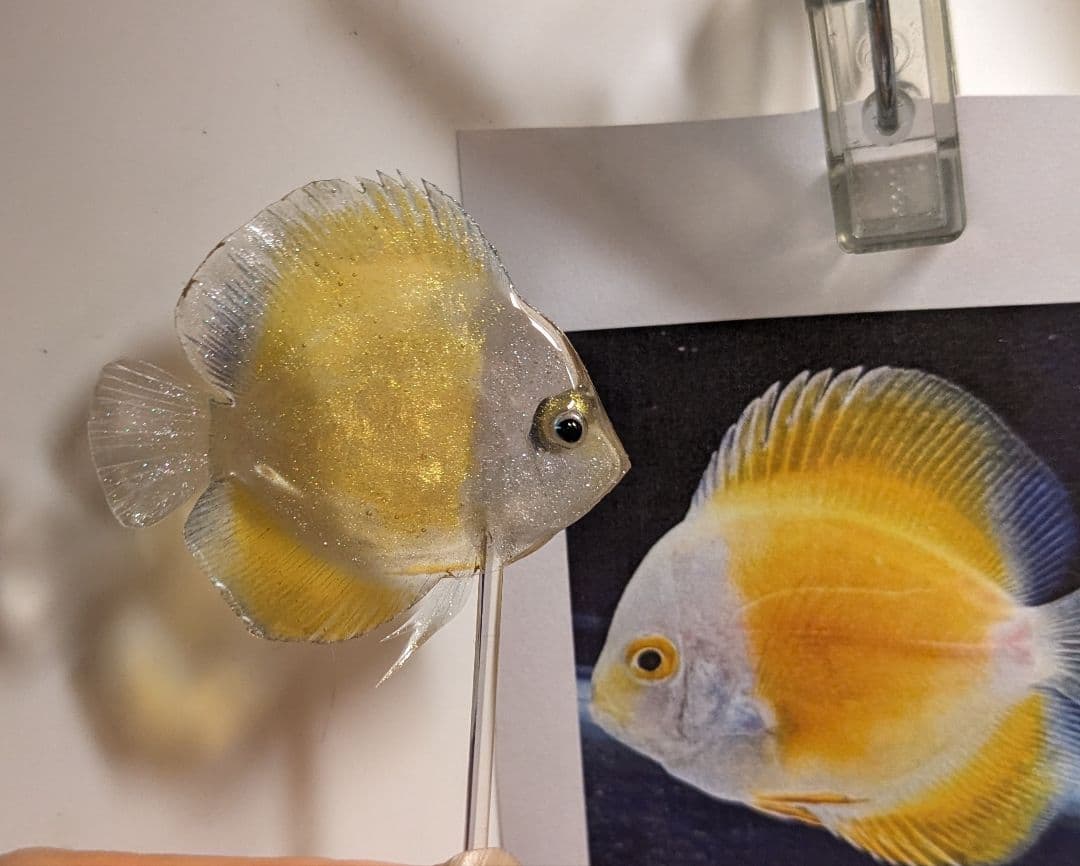 確認用　ゴールデンマルボロレッド