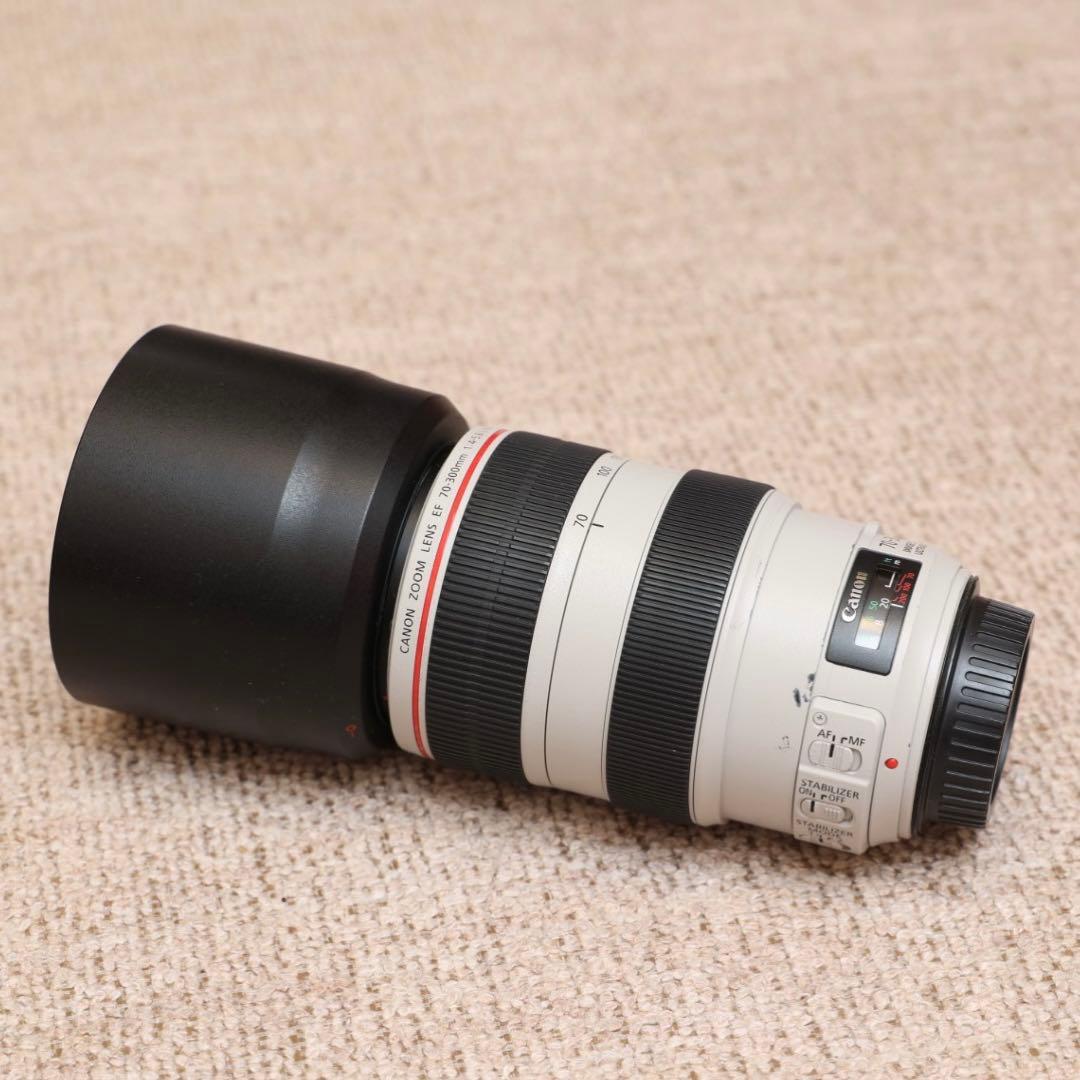 レンズ(ズーム) Canon EF70-300mm F4-5.6L IS USM