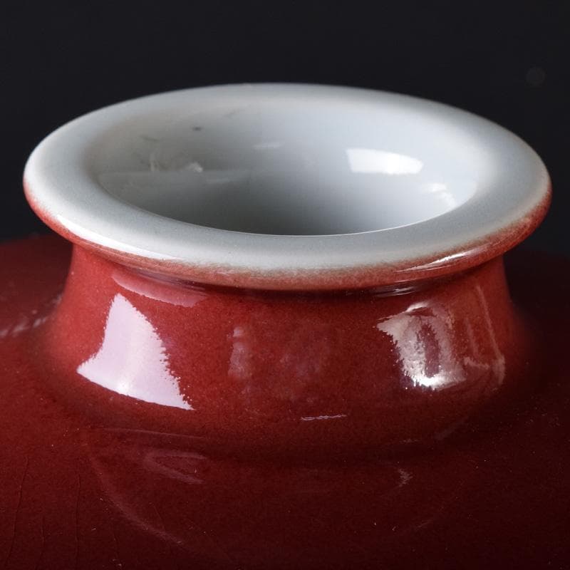 中国　缸豆紅釉　龍文瓶　梅瓶　M　7313A