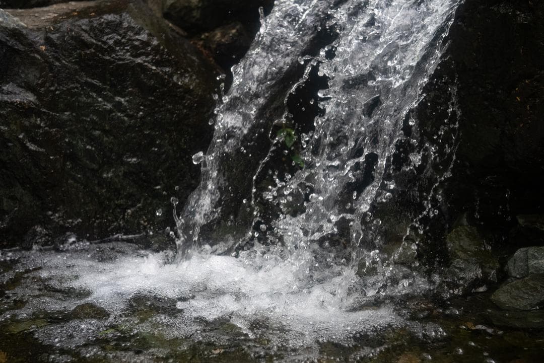 N O Go様虹の出る癖玉！Leica Summar 50mm f2